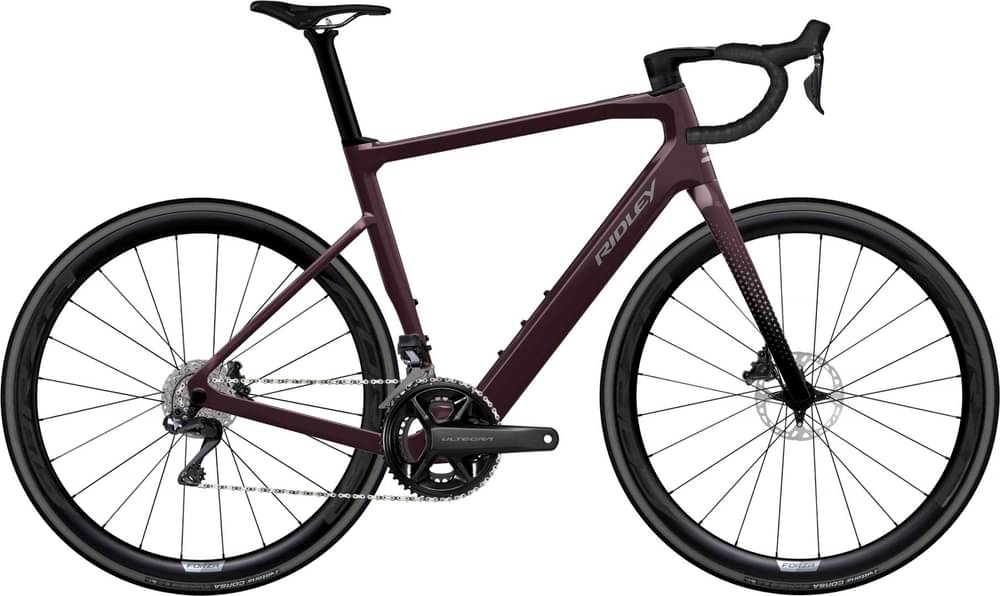 RIDLEY E-GRIFN SHIMANO 105 DI2 // 2X12S 2024 - Review, Test & Price