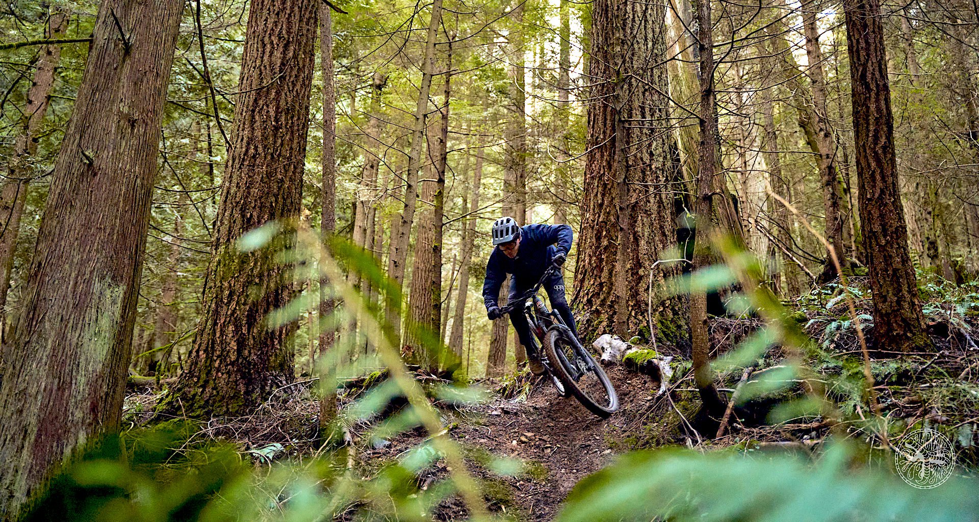 2022 Rocky Mountain Altitude Powerplay Carbon 70 Review