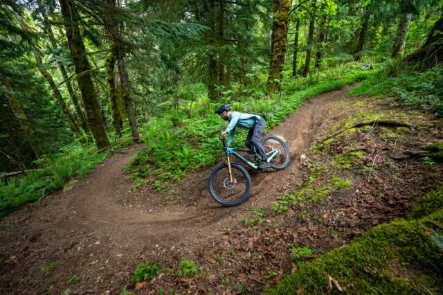 Deep Dive: 2024 Rocky Mountain Altitude