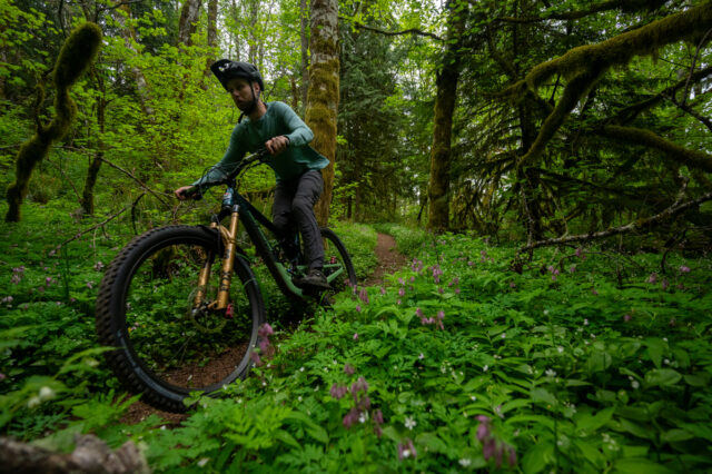 Rocky Mountain Altitude - Enduro race bike review