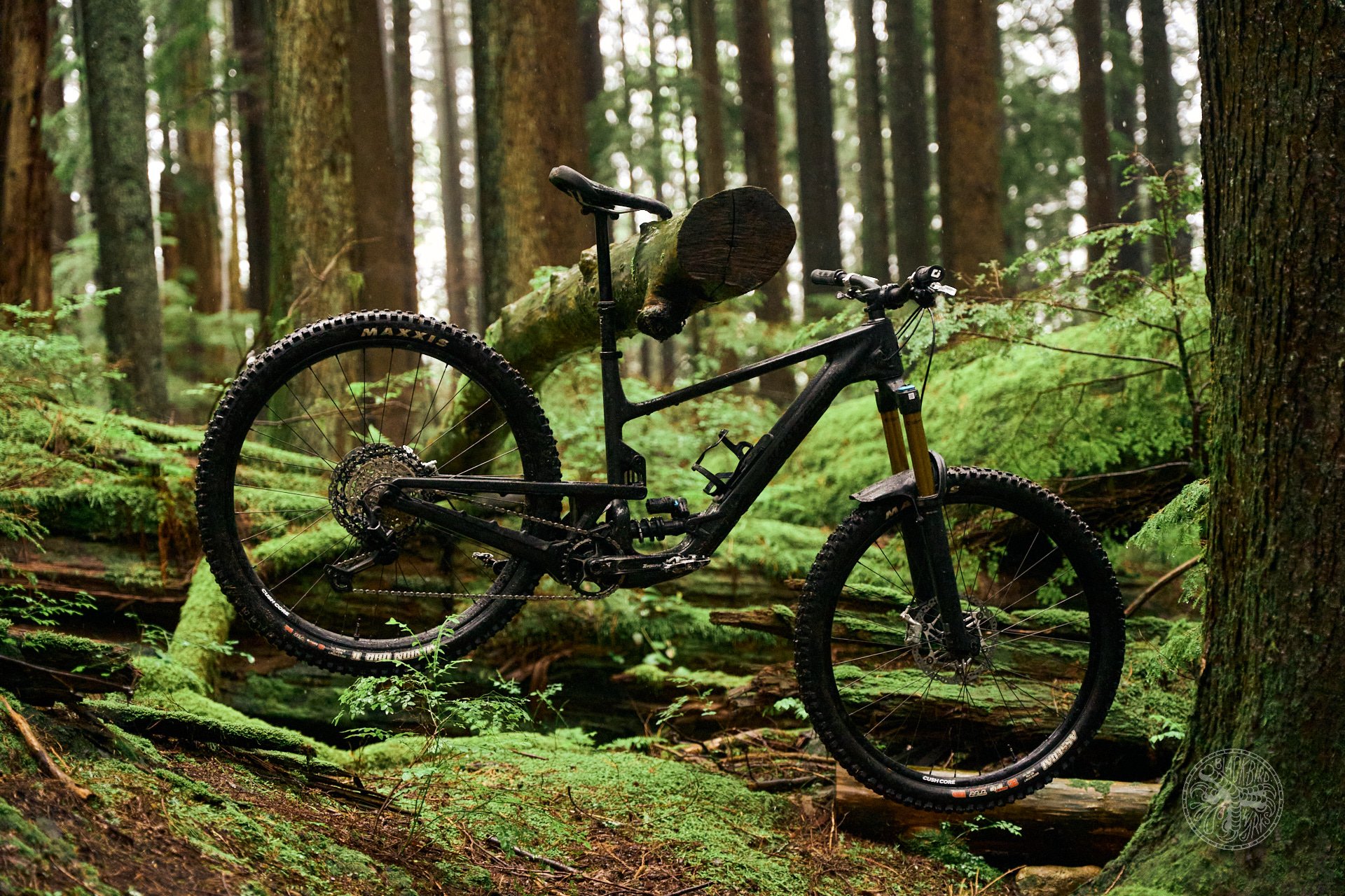 2024 Rocky Mountain Altitude C70 Coil Review