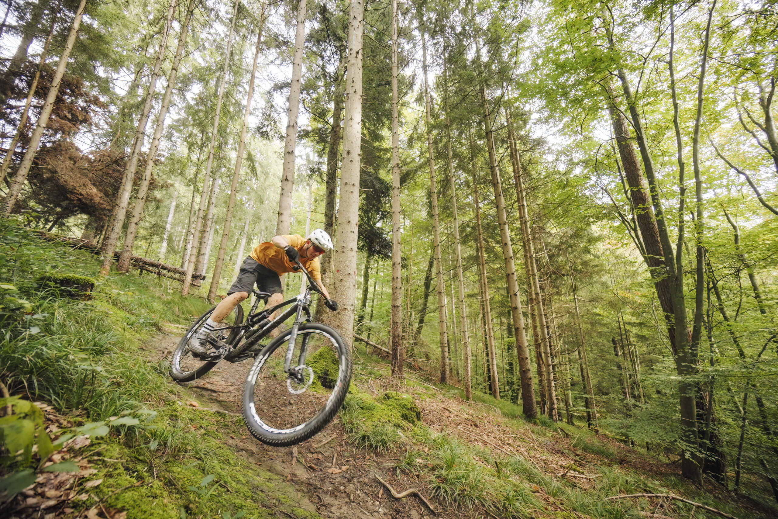 Rocky Mountain Element 2025 Review