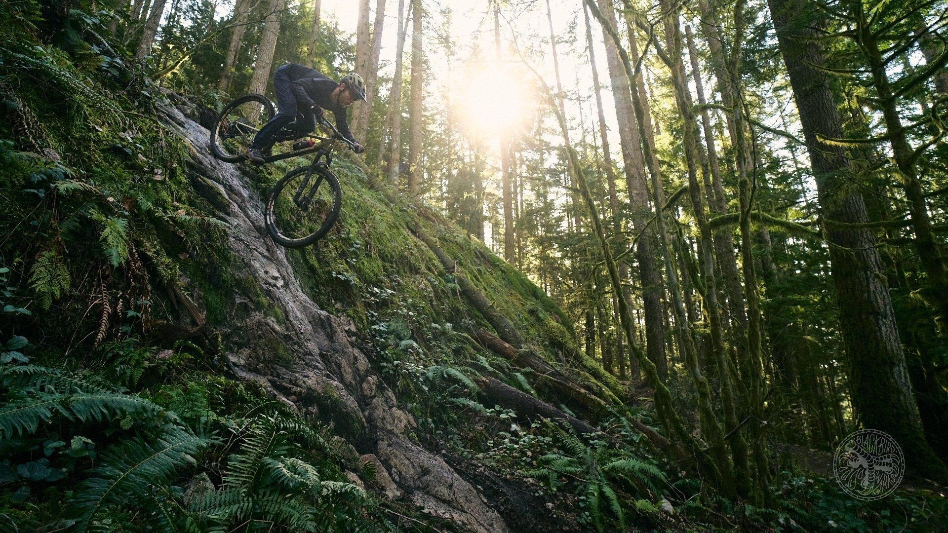 2025 Rocky Mountain Element