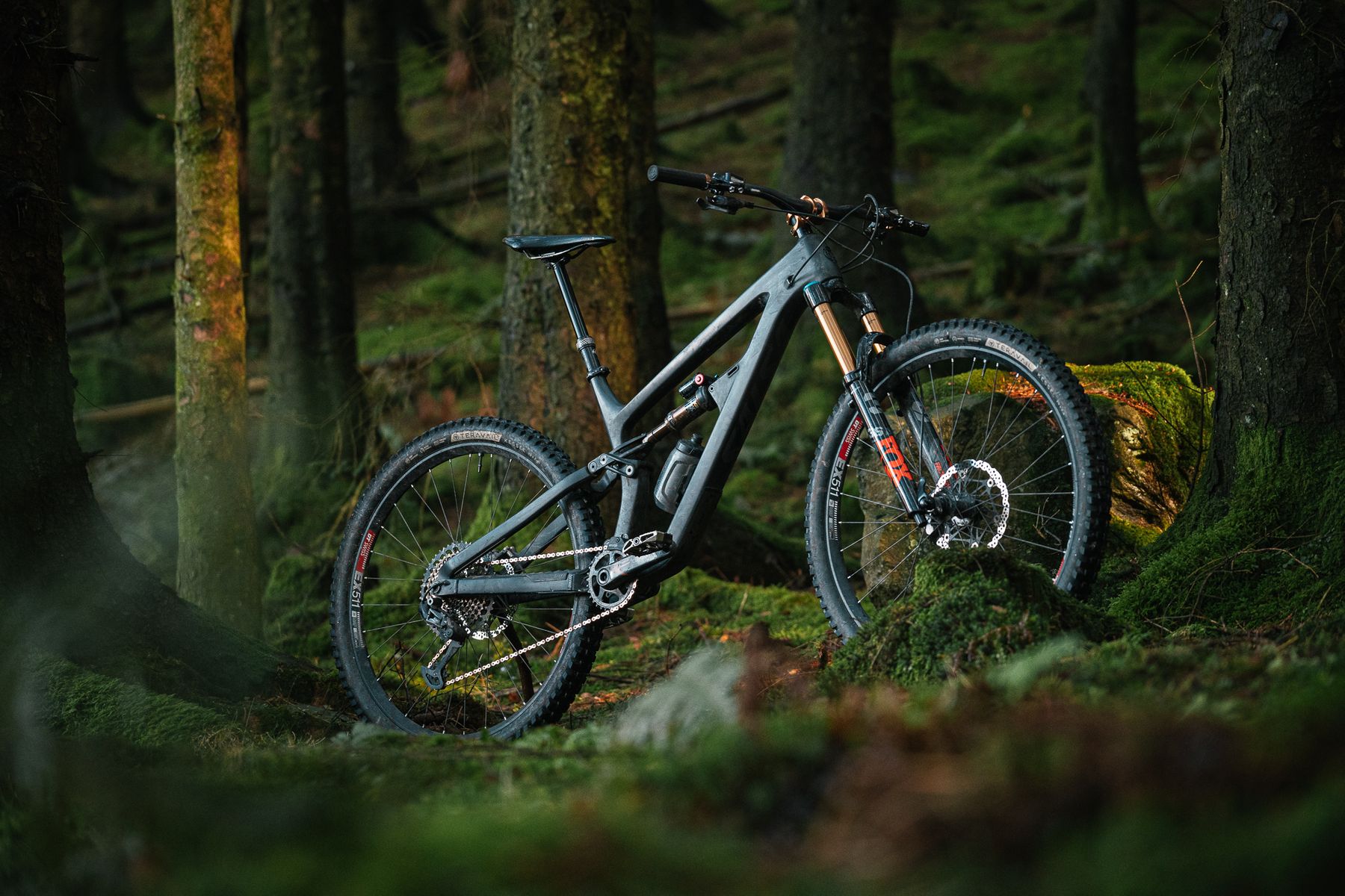 Salsa Cassidy and Blackthorn Review – One frame, two dream builds