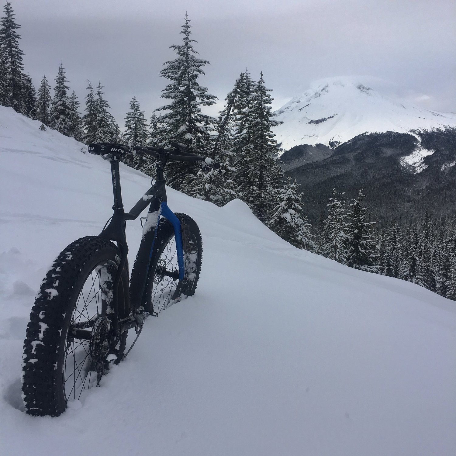 2017 Salsa Mukluk X01… - Journey's Flow