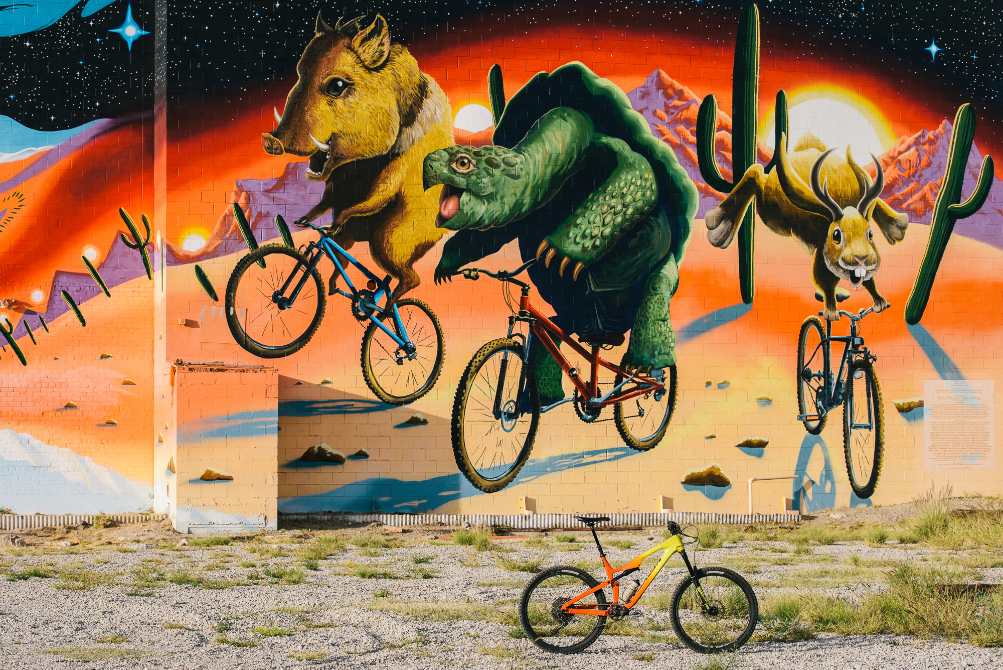 Ponied Up with Salsa Cycles’ Rustler 150mm Trail MTB