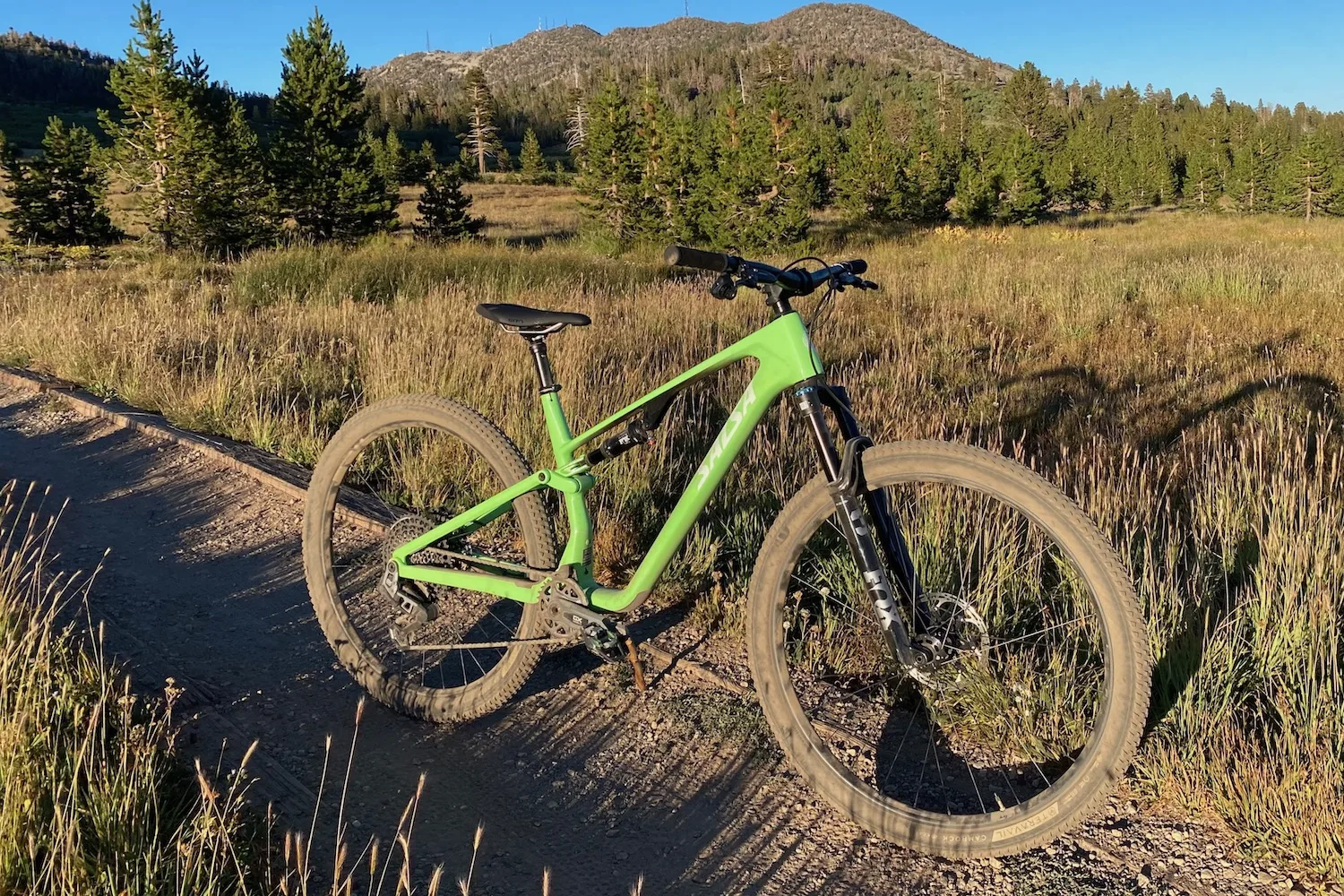 Salsa Spearfish Review