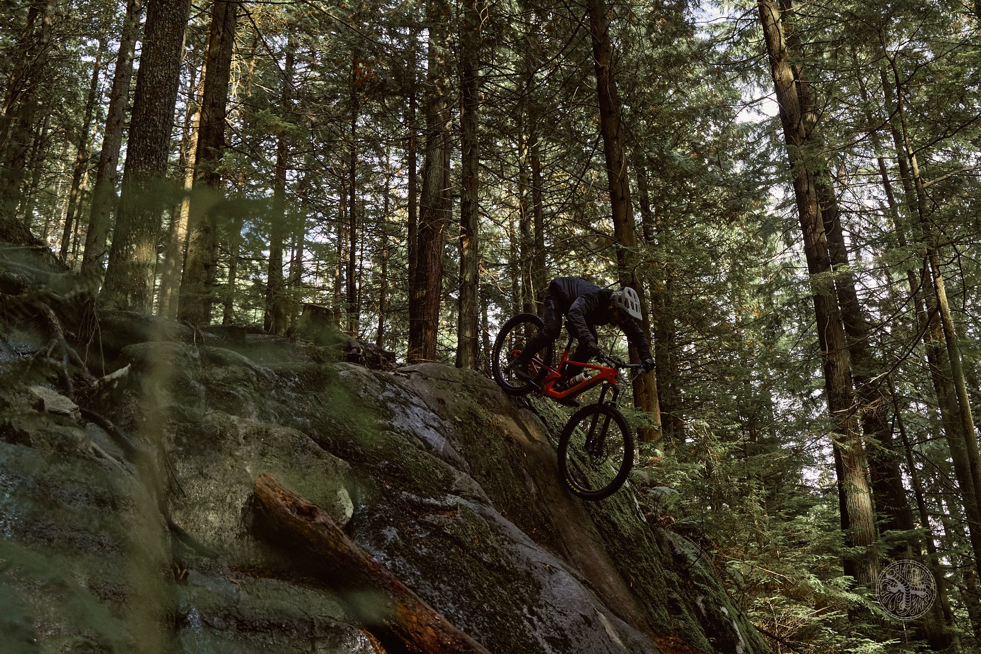 2023 Santa Cruz 5010 Review