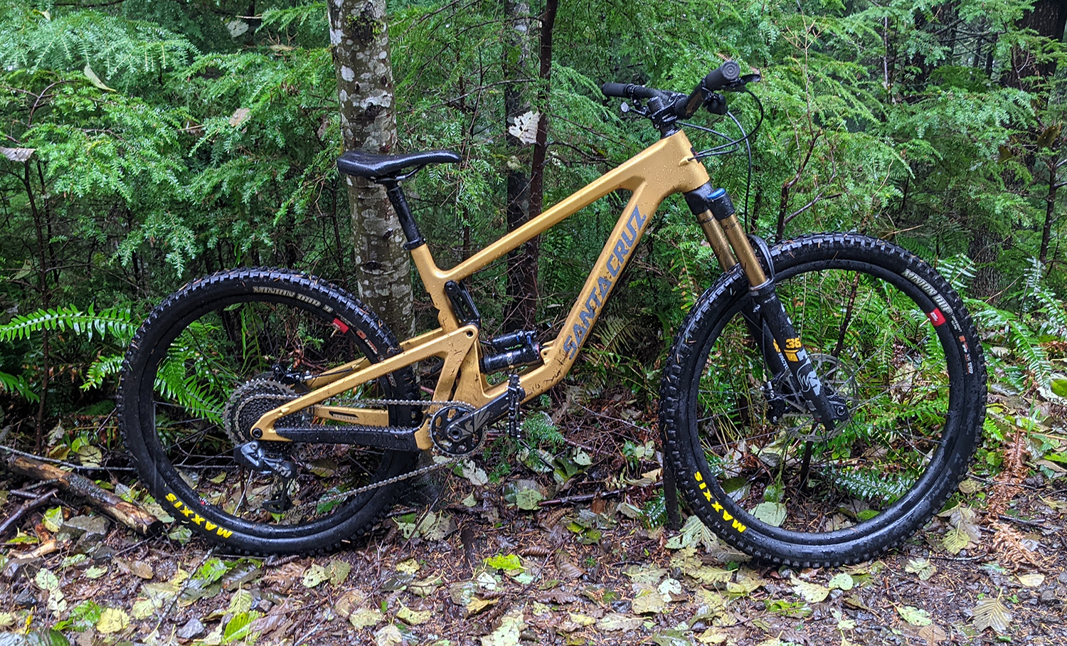 Flash Review: 2022 Santa Cruz Bronson | Blister