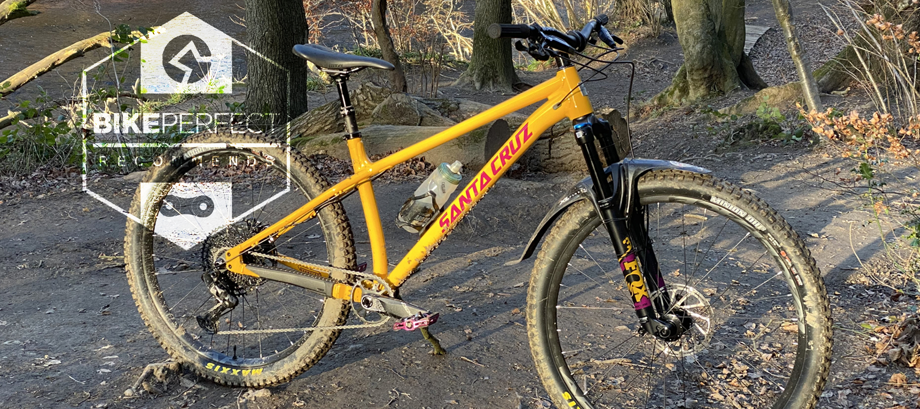 Santa Cruz Chameleon 8 review