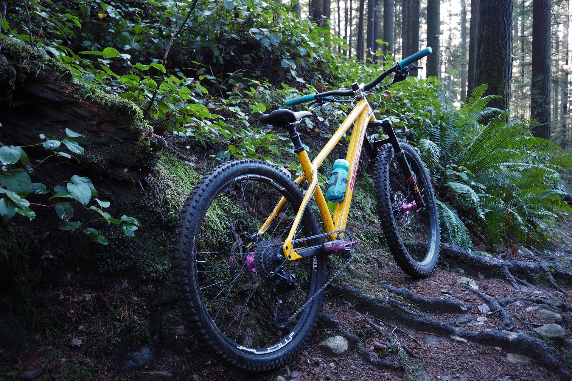 The 2022 Santa Cruz Chameleon MX Part II (Finally a ...