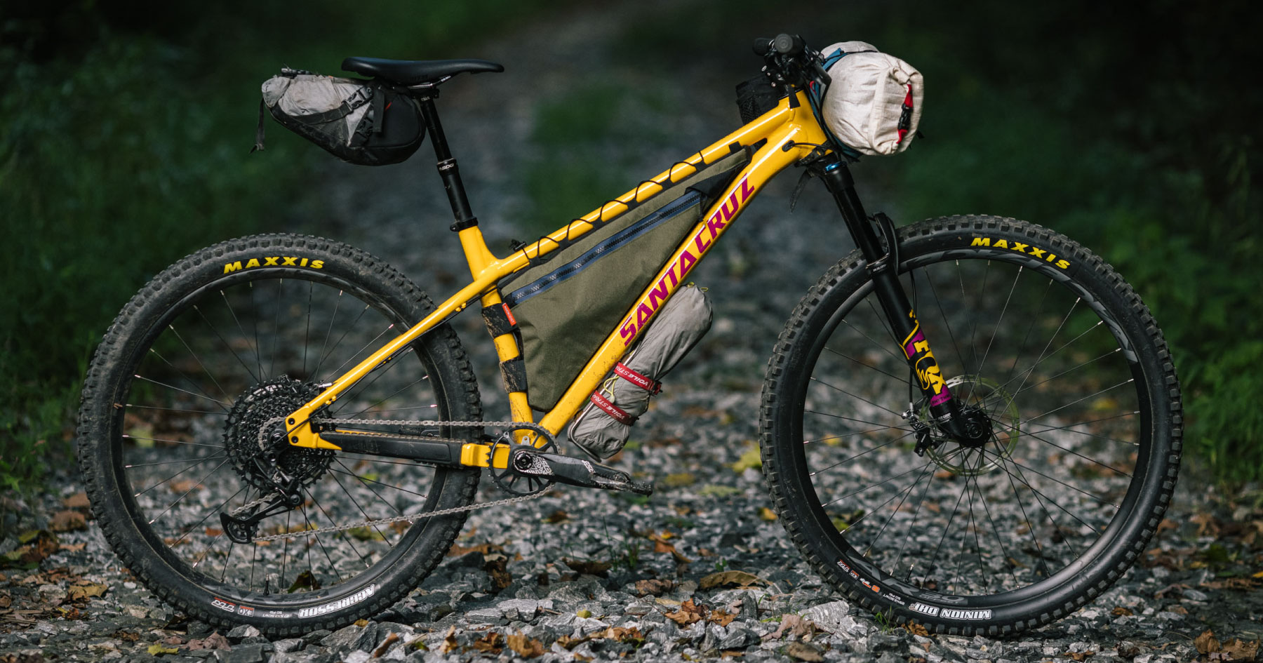 Santa Cruz Chameleon Review: A Three-horned Beast