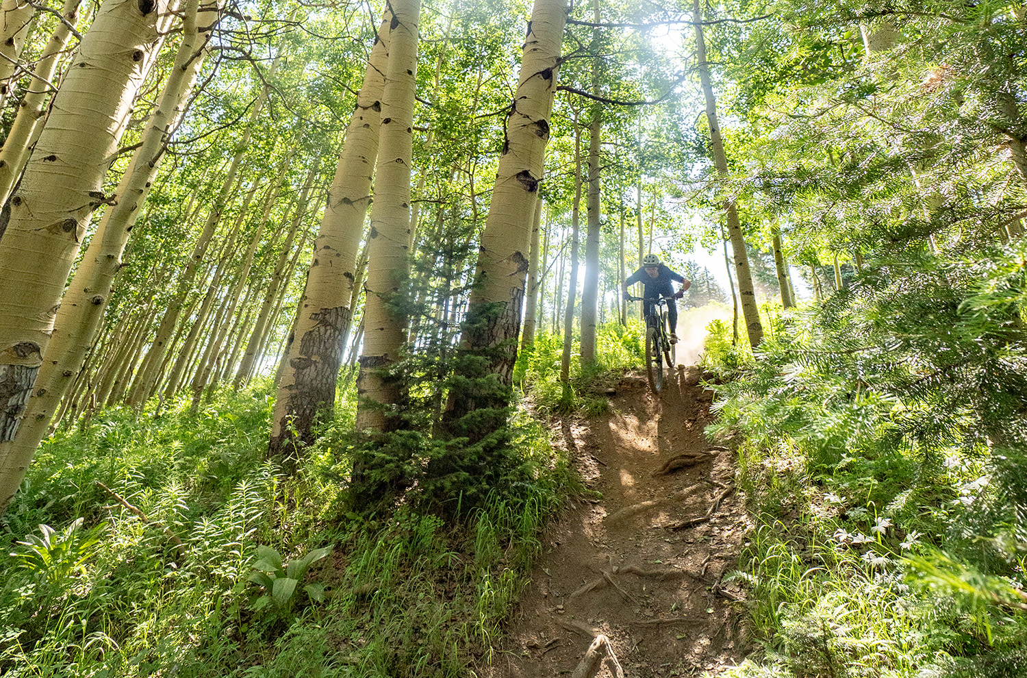 Deep Dive: Santa Cruz Hightower 4