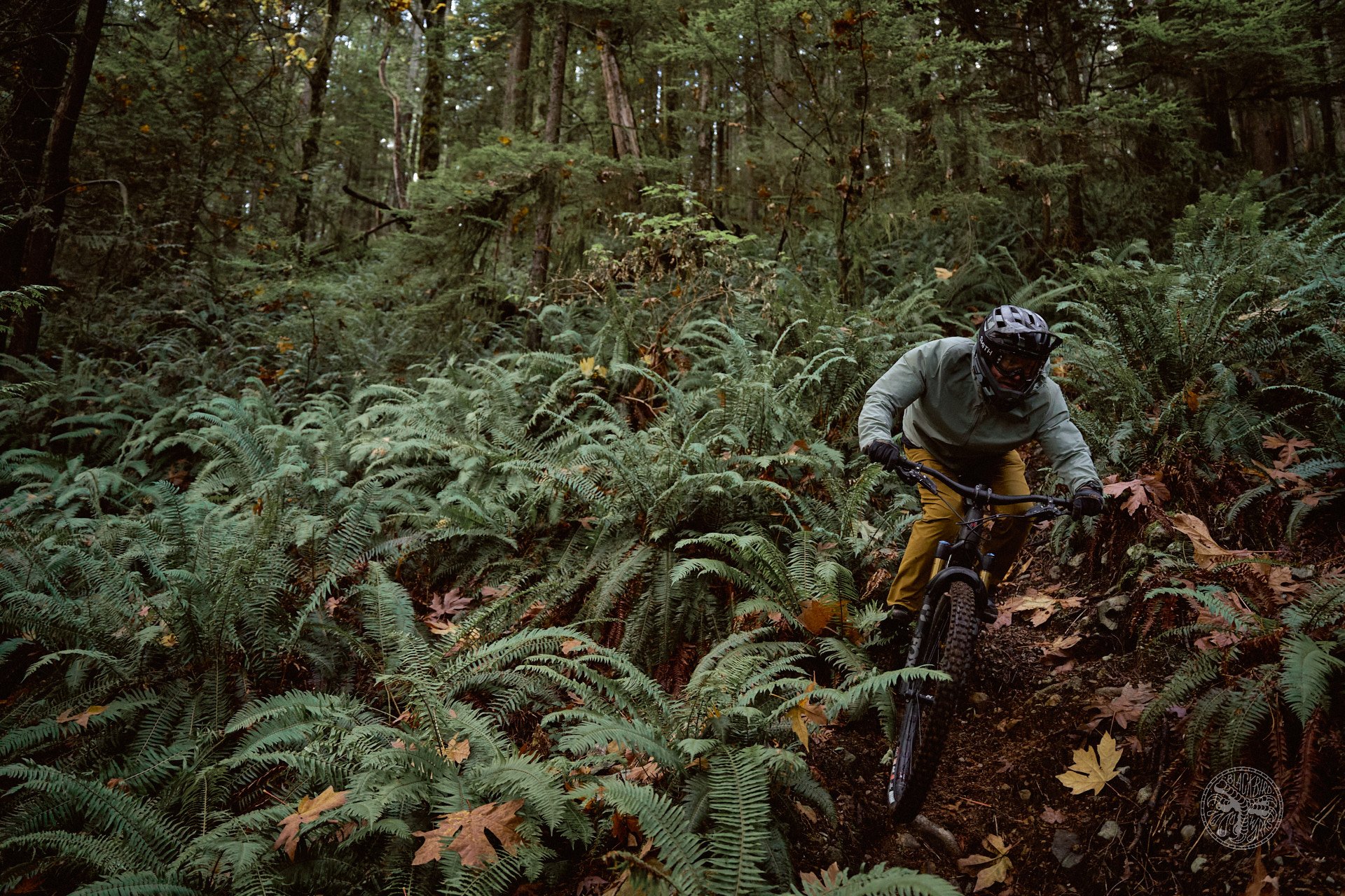 2023 Santa Cruz Nomad Review