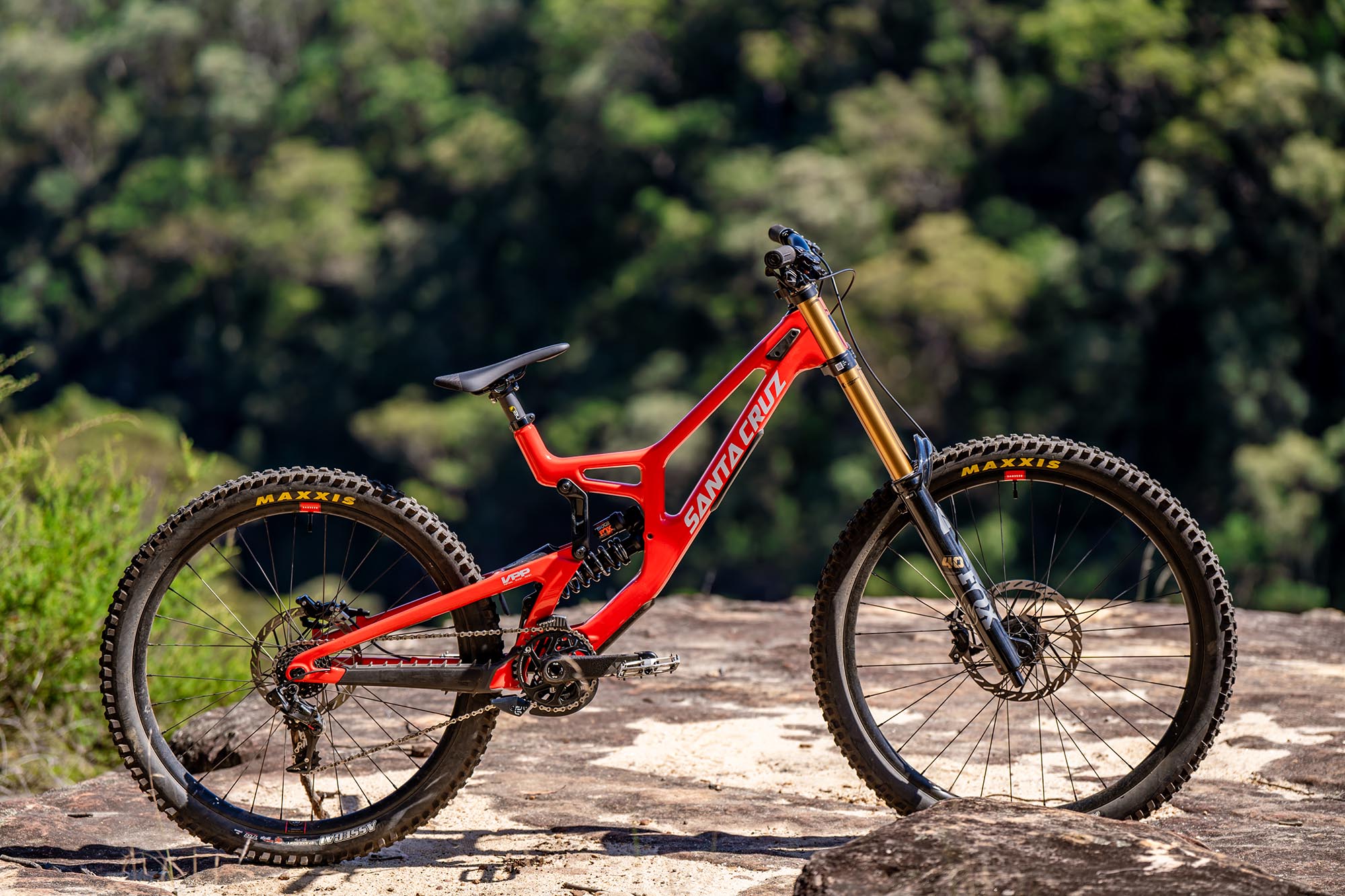 [R]eviewed // Santa Cruz V10.8