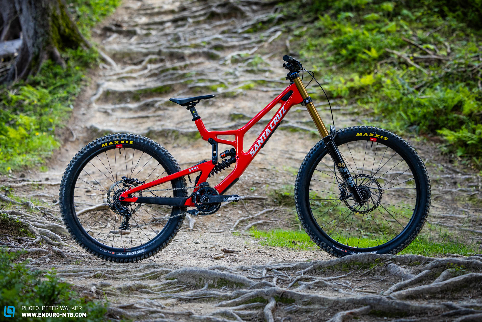 Santa Cruz V10 – In our 2025 downhill comparison test