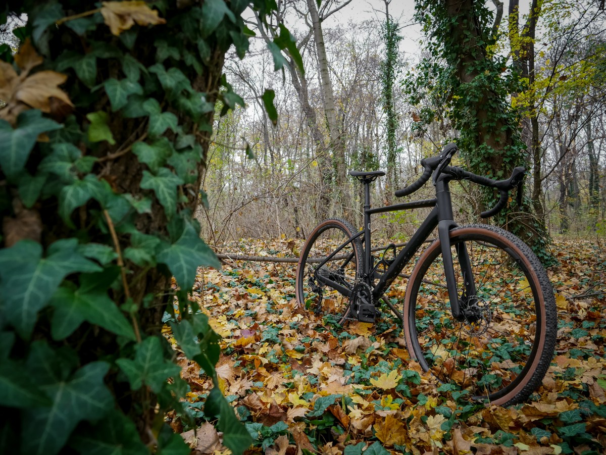 Scott Speedster Gravel 30 – Test