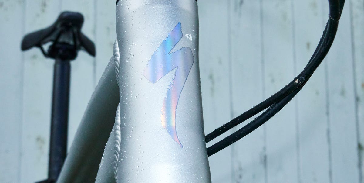 The Specialized Rockhopper Expert Takes the Title of Best Cheap Mountain Bike