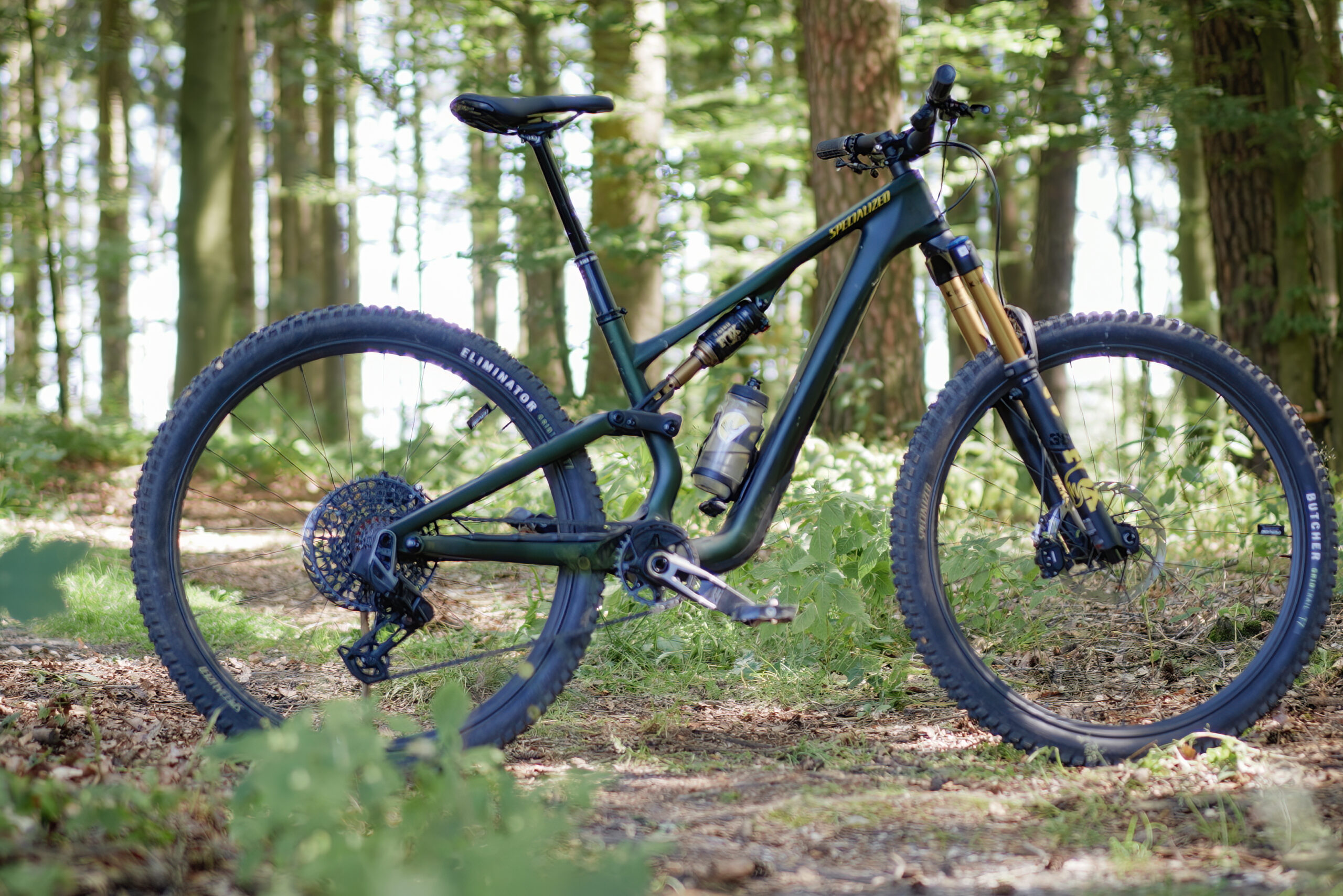 Specialized Stumpjumper 15 Review
