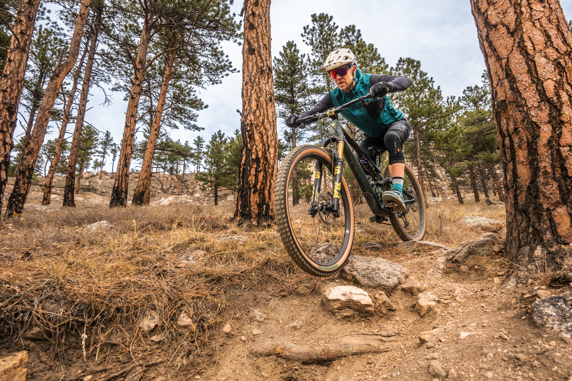 Announcing Our 2025 Demo Bike: The Specialized Stumpjumper 15 - Chasing Epic Mountain Bike Adventures