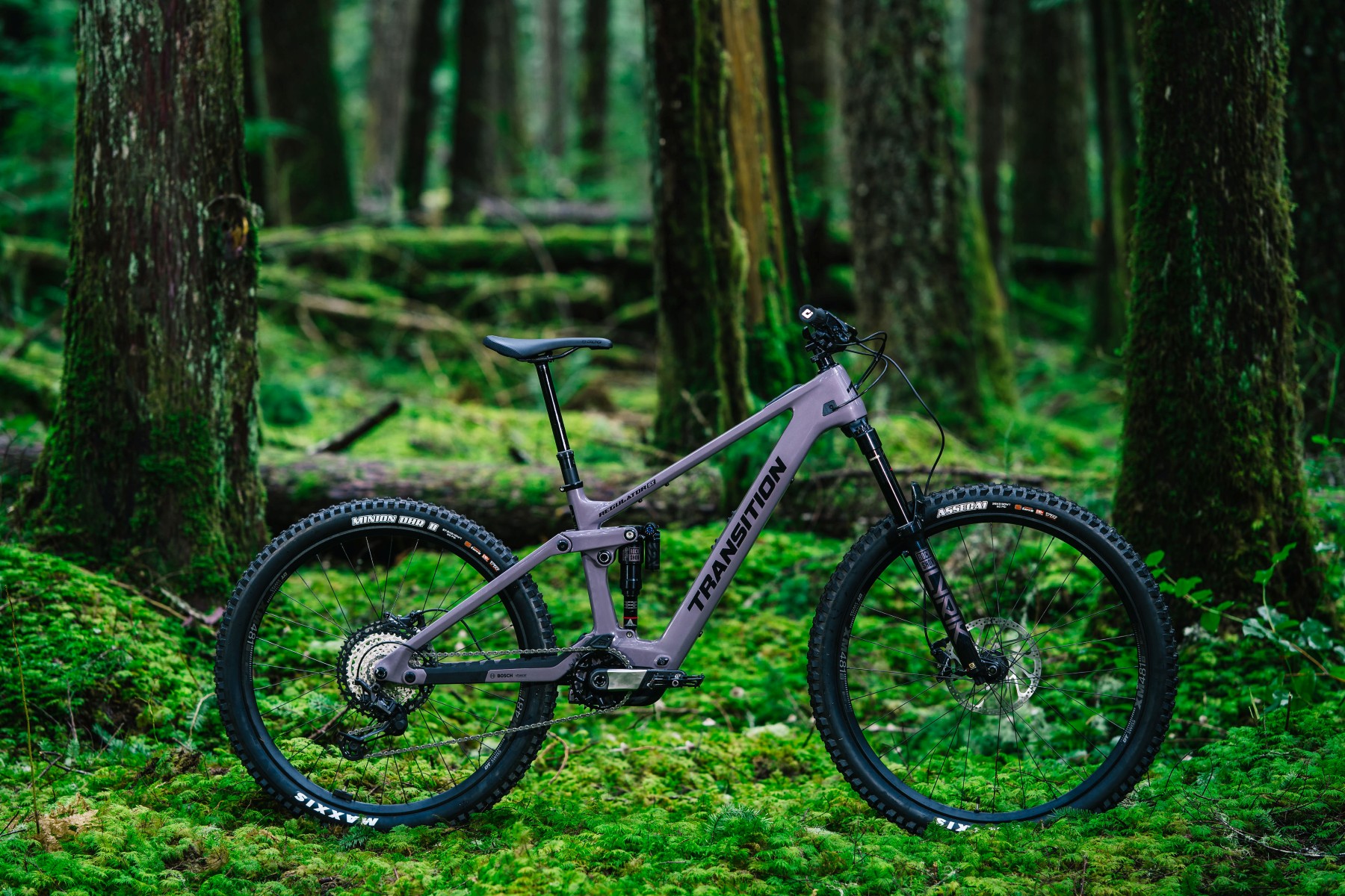 Transition Regulator CX & SX | Blister