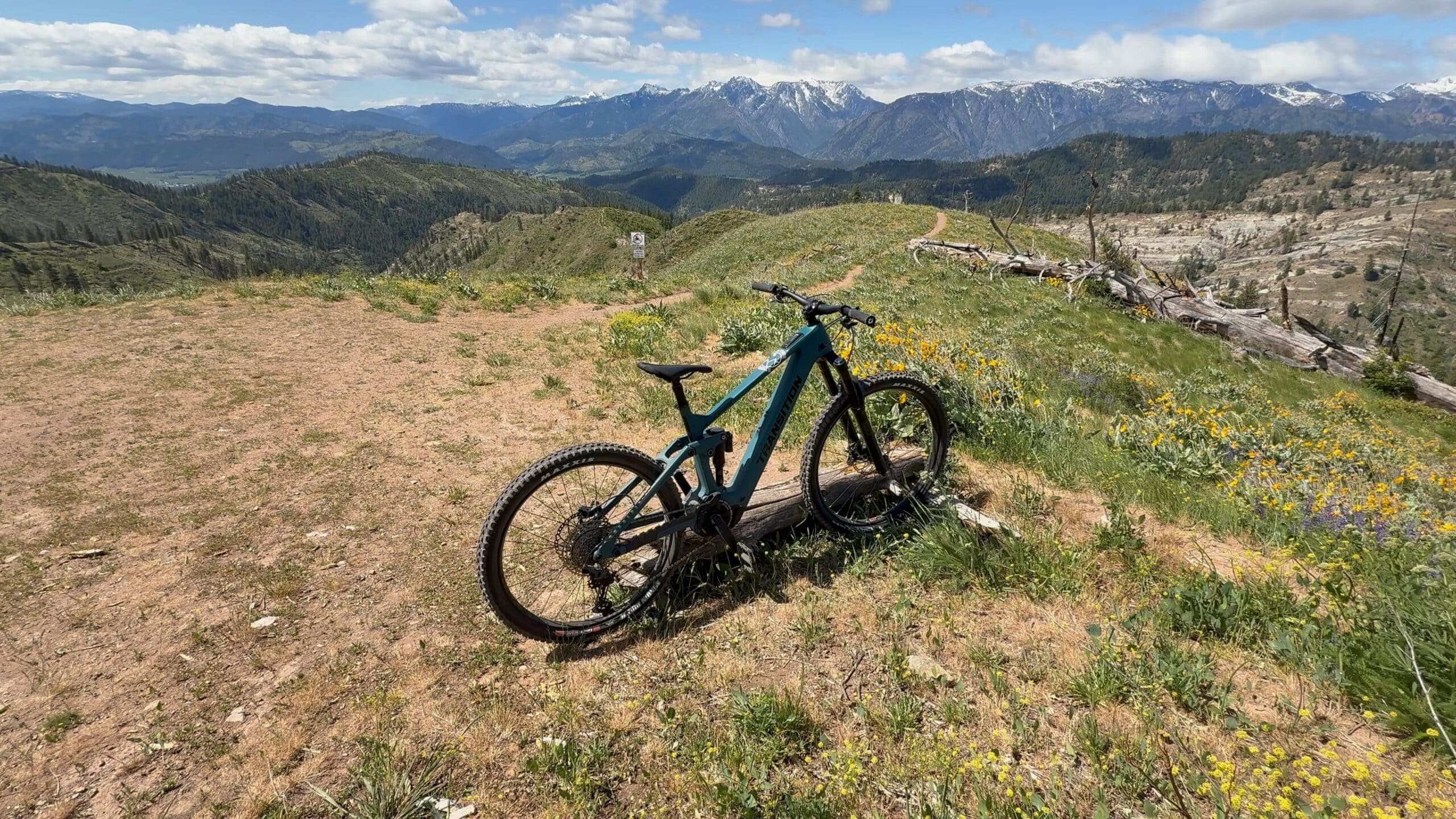 Transition Regulator CX REVIEW