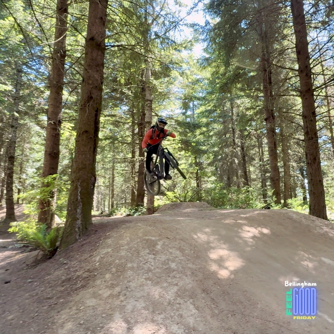 Transition Regulator SX Review: Lightweight, Powerful, and Just Plain Fun - AllAroundJoe