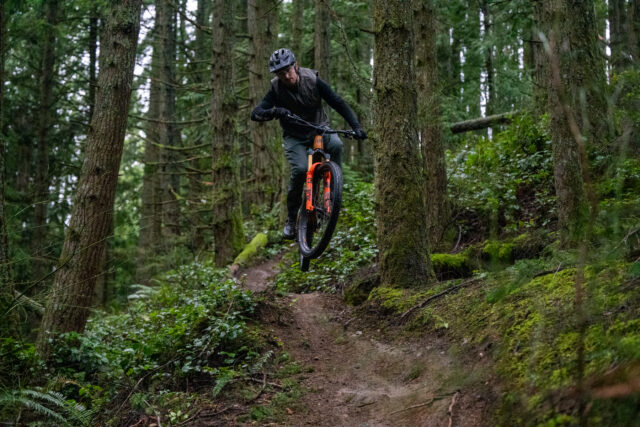 Transition Regulator SX - BLISTER