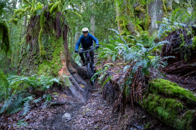 Deep Dive: Transition Sentinel V3