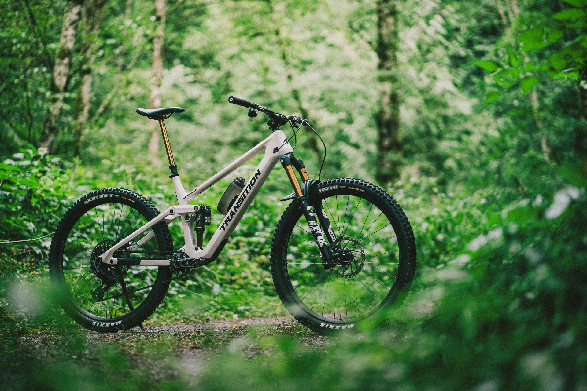 Transition Sentinel V3 Review: It Got Steeper?