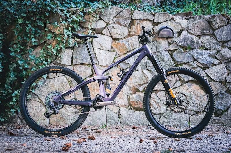 Staff Rides: Henry Quinney's Transition Spire