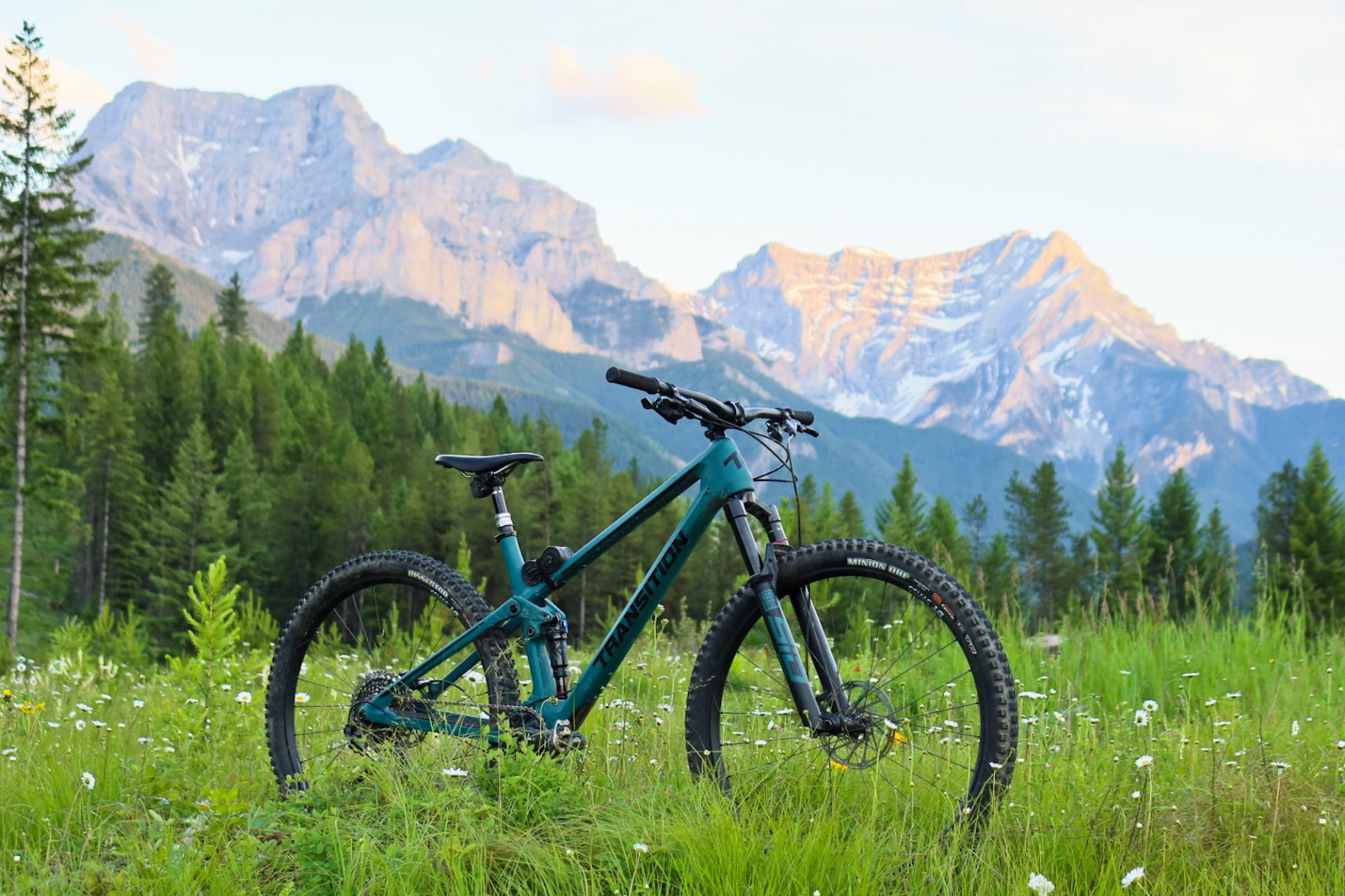 2021 Transition Spur v. Santa Cruz Tallboy