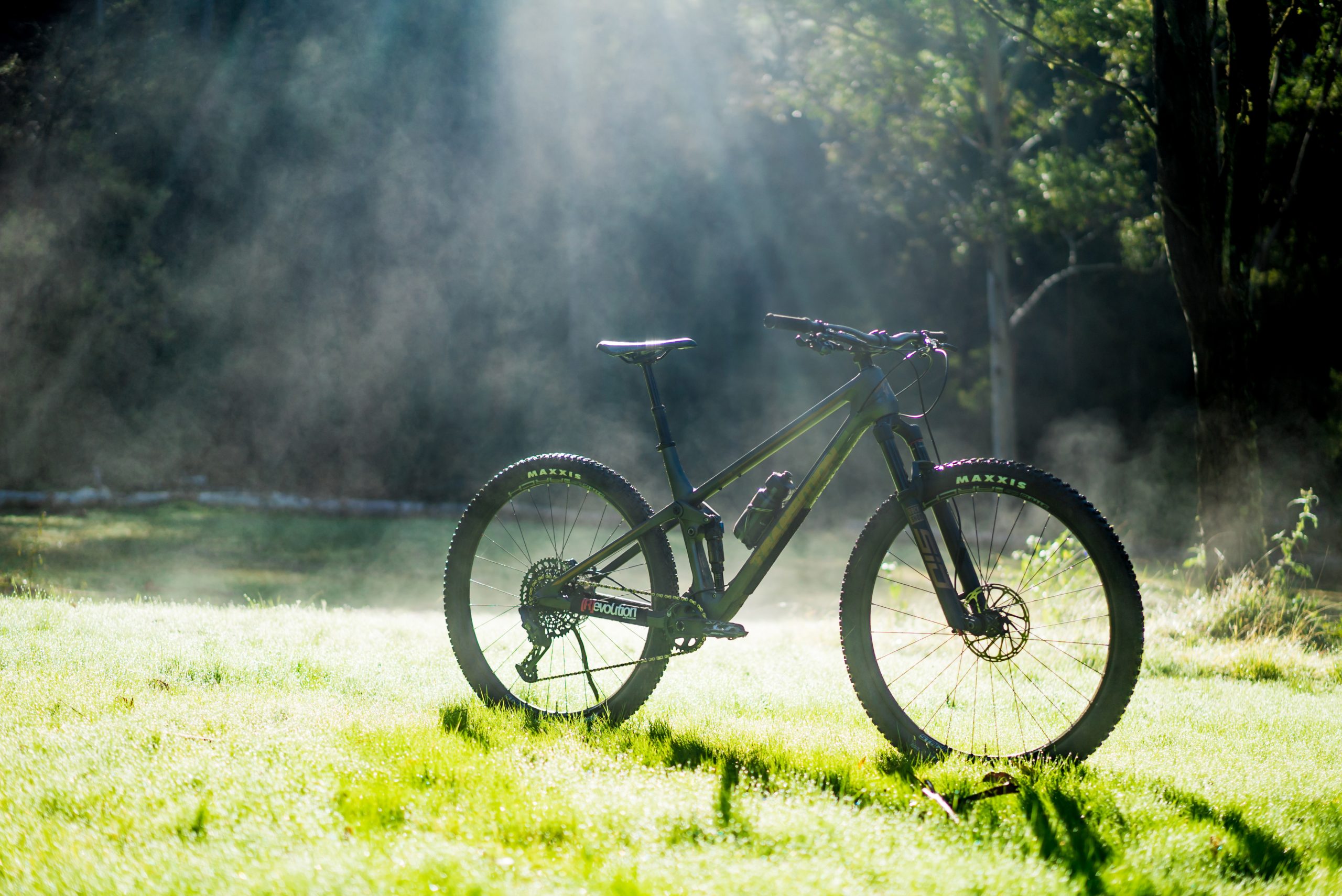 [R]eviewed // Transition Spur