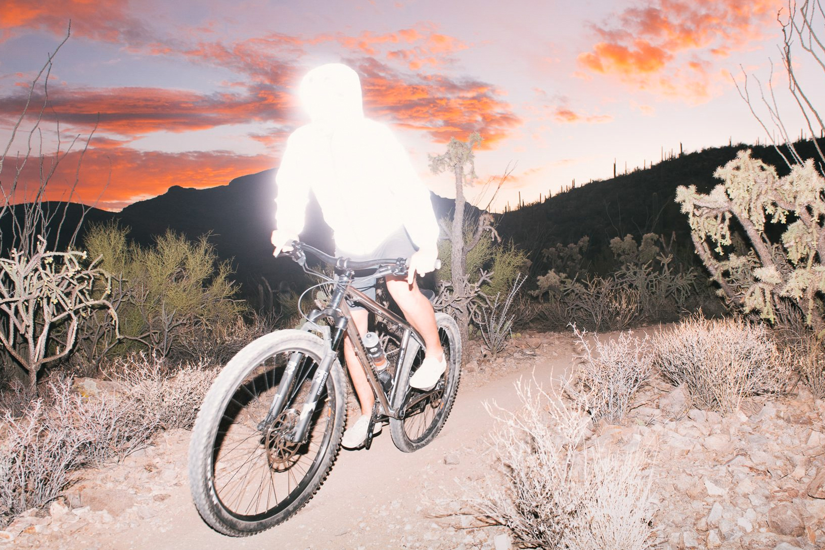 Shining Bright Like a Diamond: A 2024 Transition TransAM ...