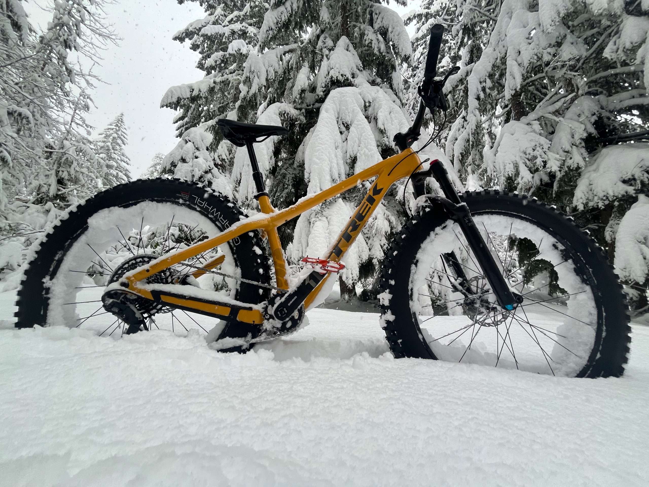 2024 Trek Farley 7 Fat Bike Review - FeedTheHabit.com