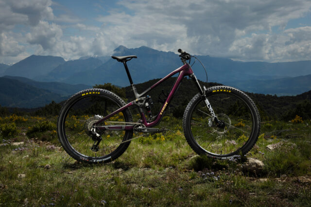 Trek Fuel EX, MX, & LX