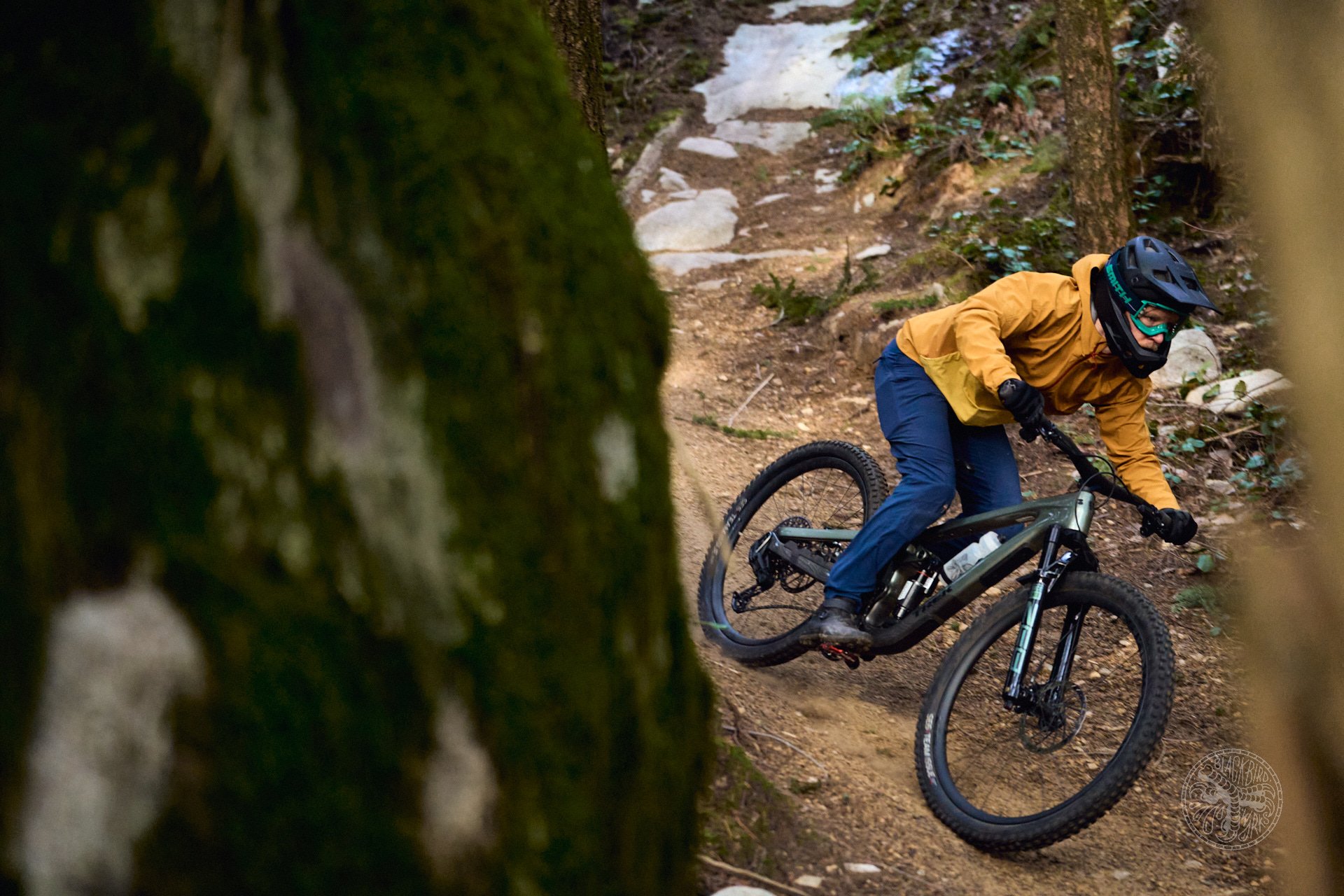 2024 Trek Slash Review