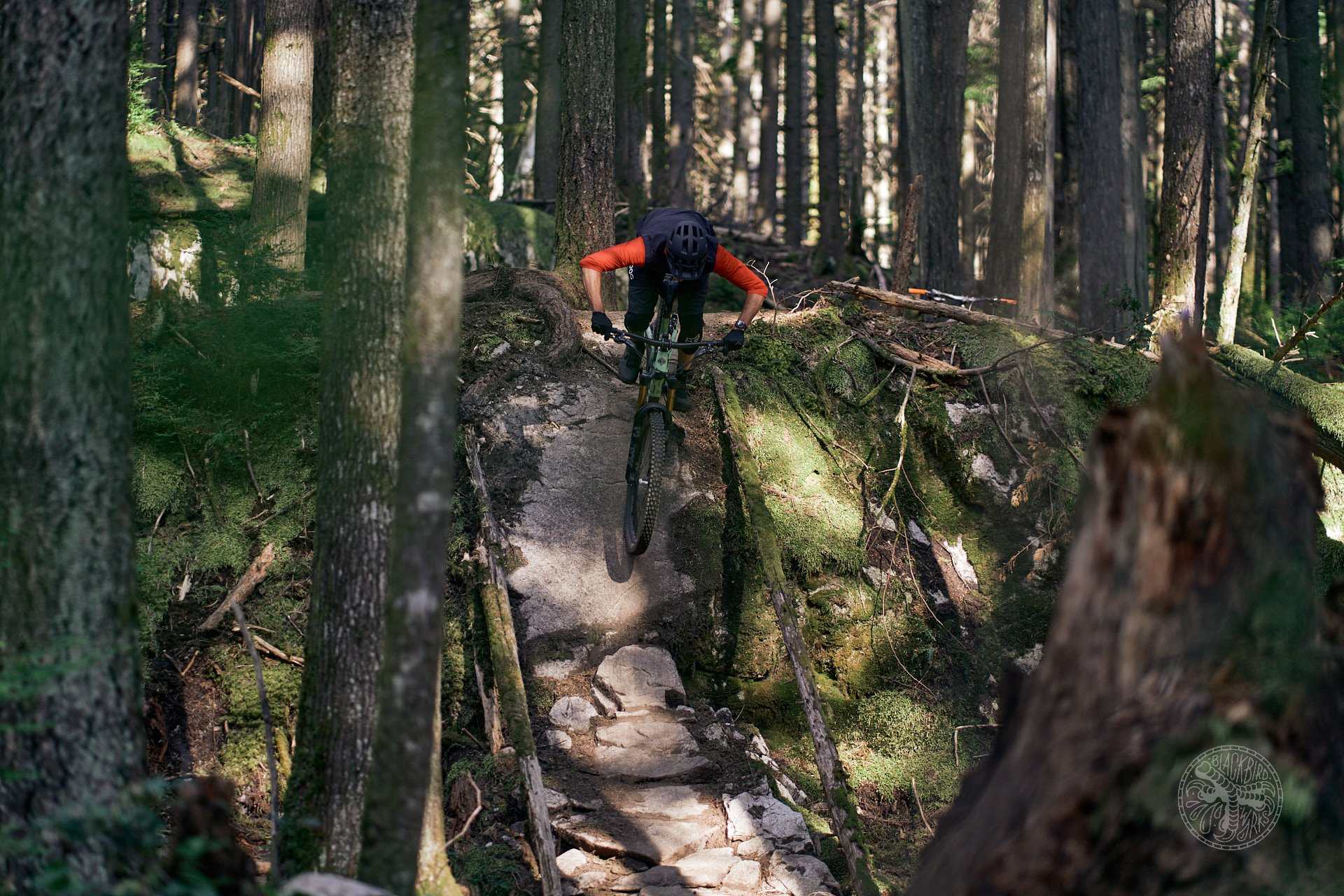 NSMB.com - 2023 Yeti SB160 T1 First Impressions