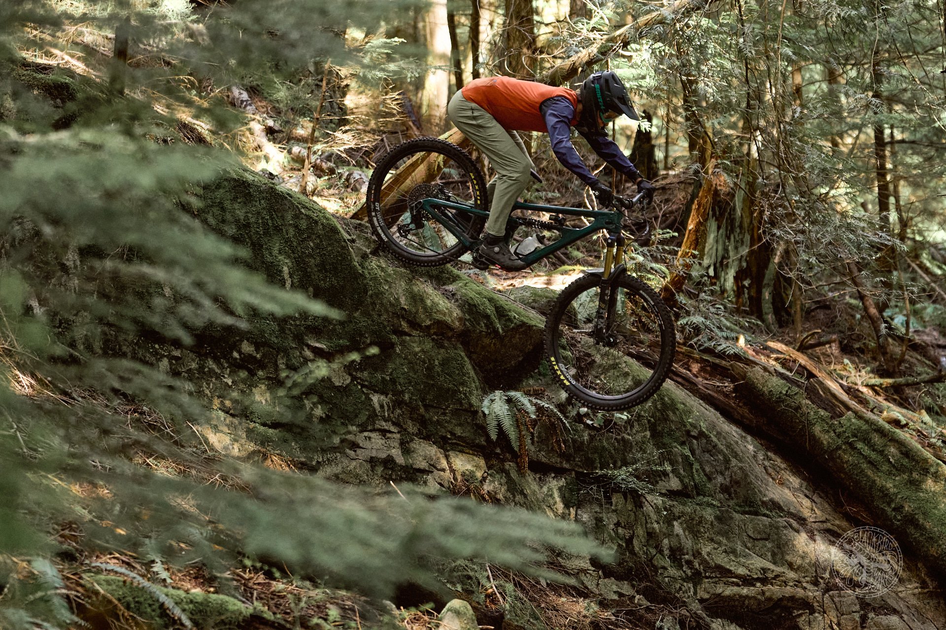 NSMB.com - 2024 Yeti SB 165