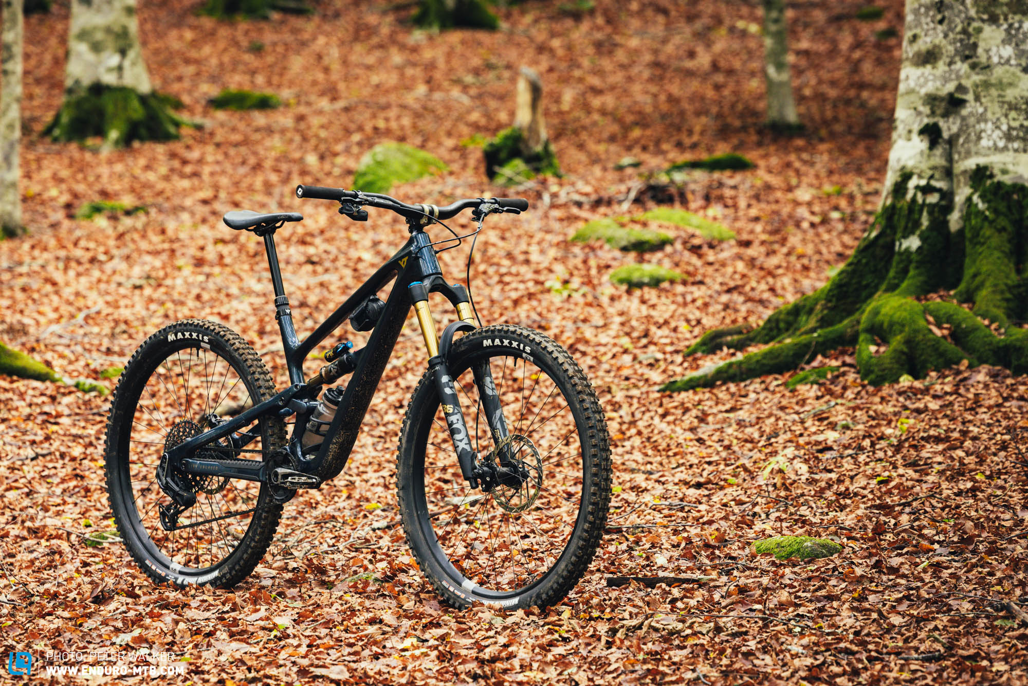 The YT JEFFSY CORE 5 – In our big 2024 trail bike comparison test